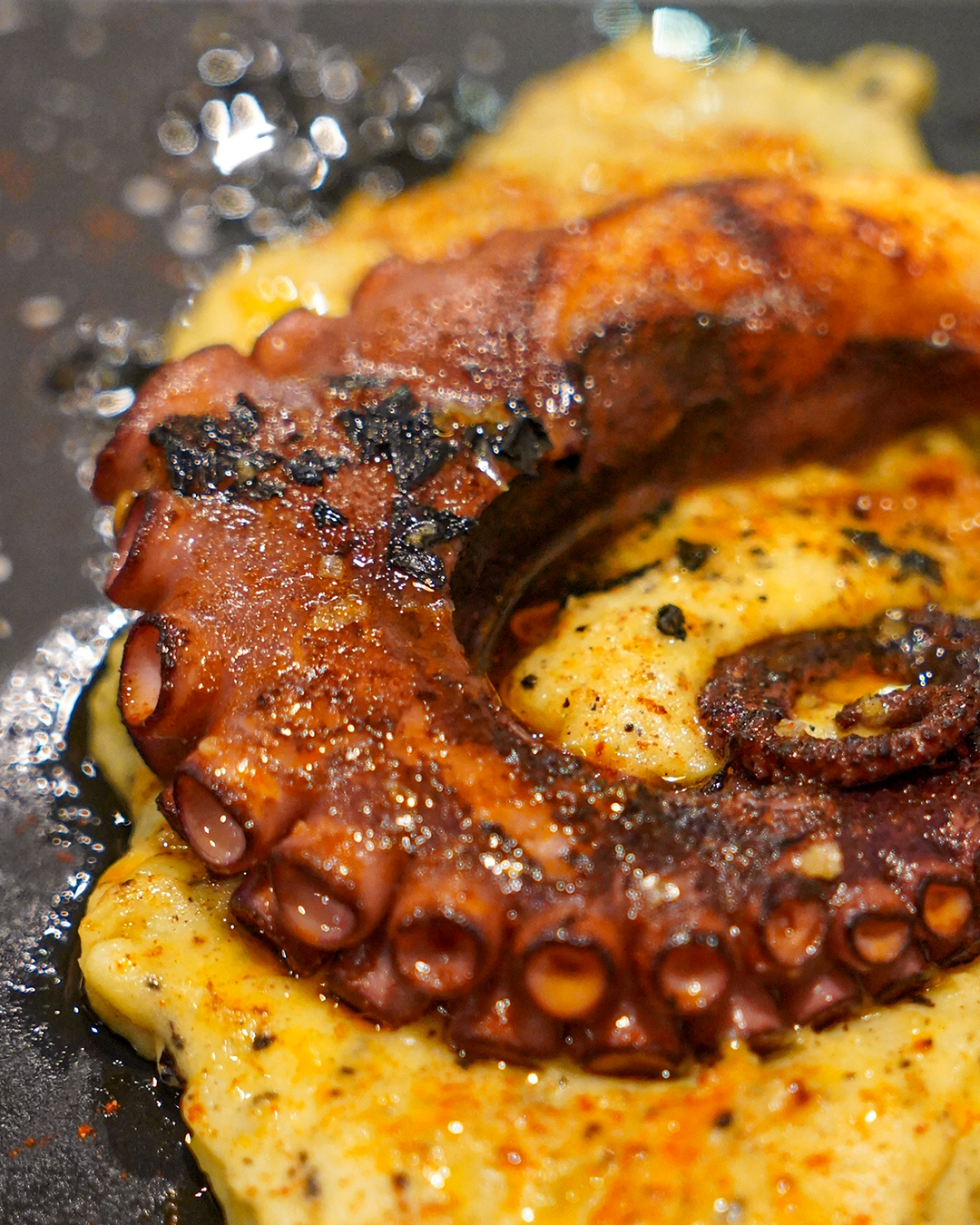 Sugerencias de sabores de Soria que probar en Bar Torcvato